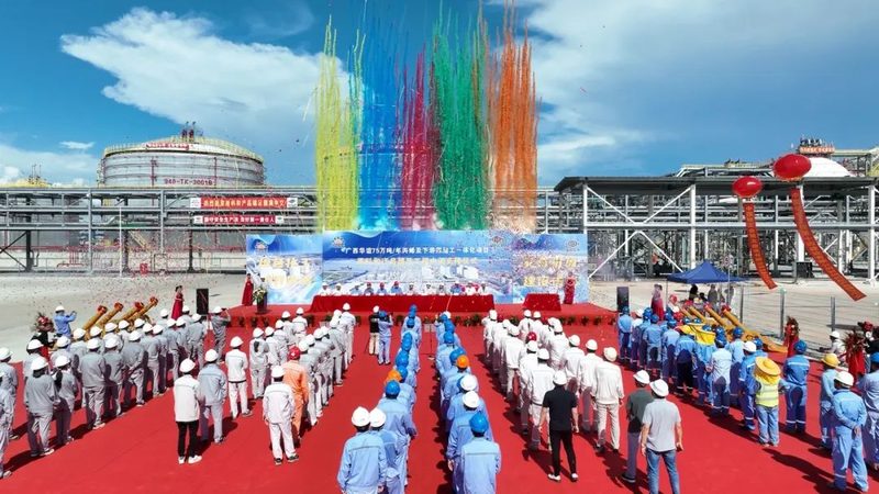 河南小麦助剂喷施流程解析：关键步骤与注意事项