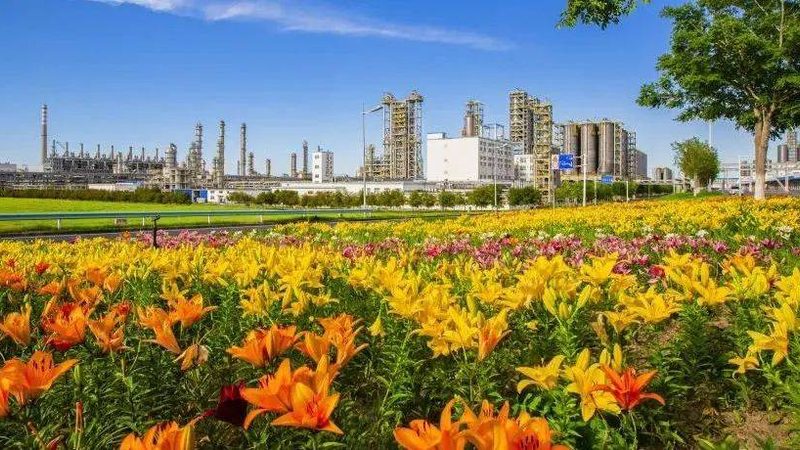 硅酮胶粘剂型号揭秘：解码背后的技术密码**