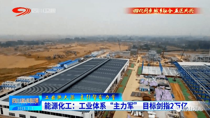两性表面活性剂：揭秘其报价背后的关键因素**